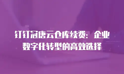 钉钉冠唐云仓库续费：企业数字化转型的高效选择