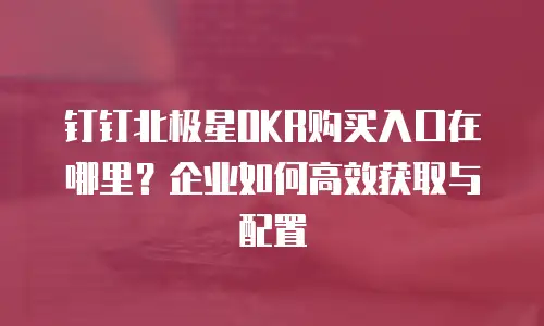 钉钉北极星OKR购买入口在哪里？企业如何高效获取与配置