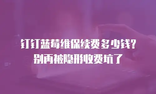 钉钉蓝莓维保续费多少钱？别再被隐形收费坑了