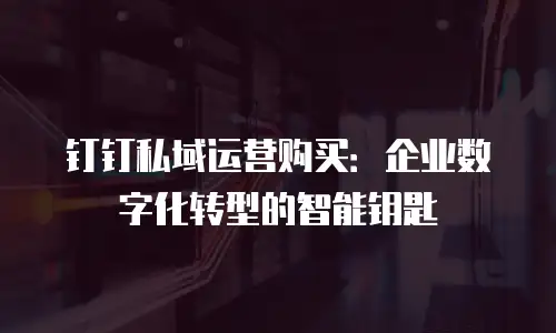 钉钉私域运营购买：企业数字化转型的智能钥匙