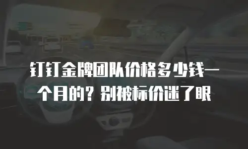 钉钉金牌团队价格多少钱一个月的？别被标价迷了眼