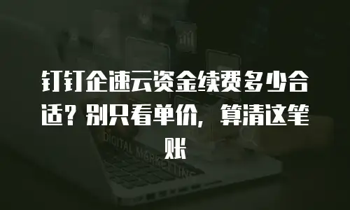 钉钉企速云资金续费多少合适？别只看单价，算清这笔账