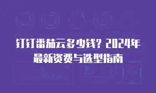钉钉番茄云多少钱？2024年最新资费与选型指南