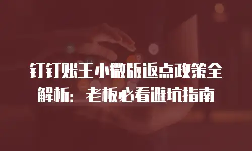 钉钉账王小微版返点政策全解析：老板必看避坑指南