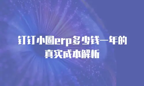 钉钉小圈erp多少钱一年的真实成本解析