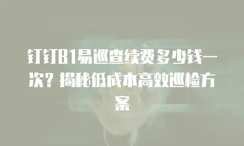钉钉B1易巡查续费多少钱一次？揭秘低成本高效巡检方案