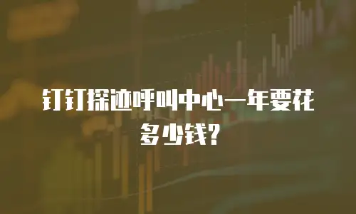钉钉探迹呼叫中心一年要花多少钱？