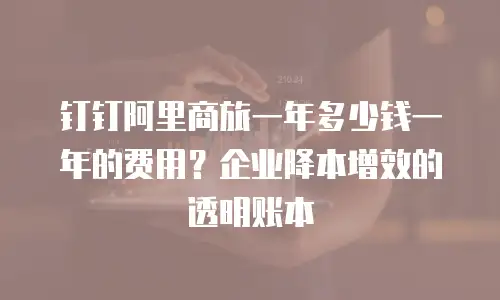 钉钉阿里商旅一年多少钱一年的费用？企业降本增效的透明账本