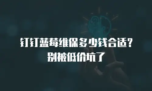 钉钉蓝莓维保多少钱合适？别被低价坑了