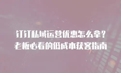 钉钉私域运营优惠怎么拿？老板必看的低成本获客指南
