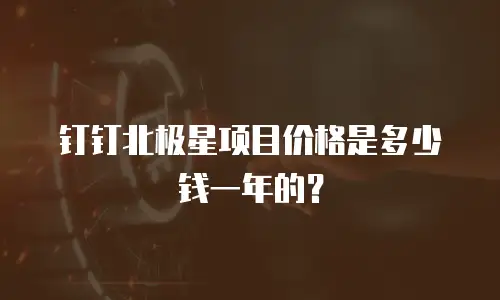 钉钉北极星项目价格是多少钱一年的？