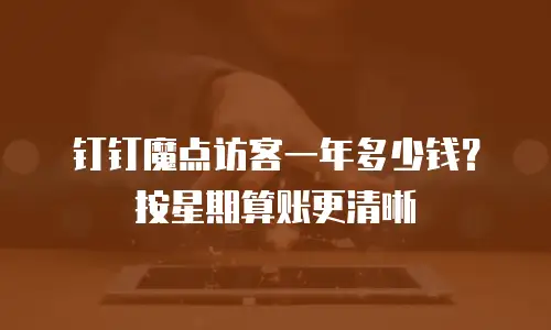 钉钉魔点访客一年多少钱？按星期算账更清晰