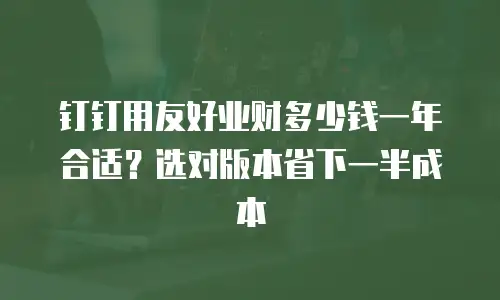 钉钉用友好业财多少钱一年合适？选对版本省下一半成本