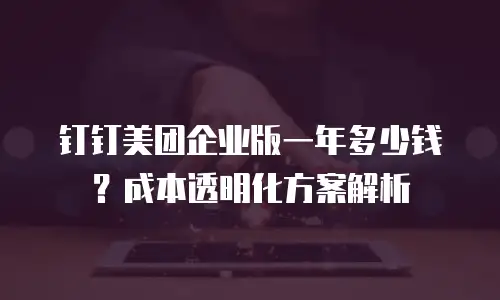 钉钉美团企业版一年多少钱？成本透明化方案解析