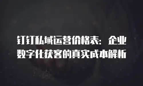 钉钉私域运营价格表：企业数字化获客的真实成本解析
