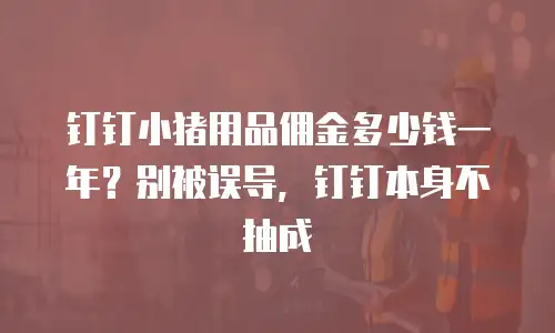 钉钉小猪用品佣金多少钱一年？别被误导，钉钉本身不抽成