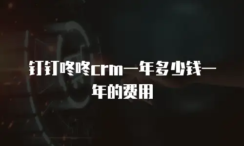 钉钉咚咚crm一年多少钱一年的费用