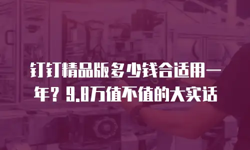 钉钉精品版多少钱合适用一年？9.8万值不值的大实话