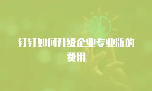 钉钉如何升级企业专业版的费用