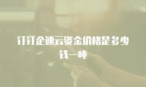 钉钉企速云资金价格是多少钱一吨