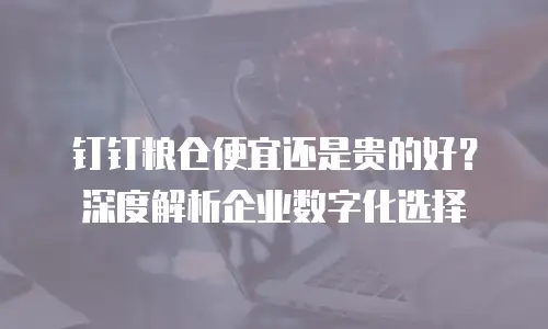 钉钉粮仓便宜还是贵的好？深度解析企业数字化选择