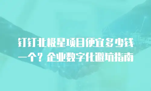钉钉北极星项目便宜多少钱一个？企业数字化避坑指南
