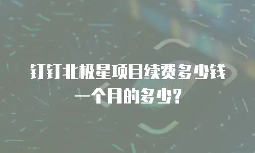 钉钉北极星项目续费多少钱一个月的多少？