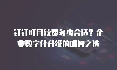 钉钉盯目续费多少合适？企业数字化升级的明智之选