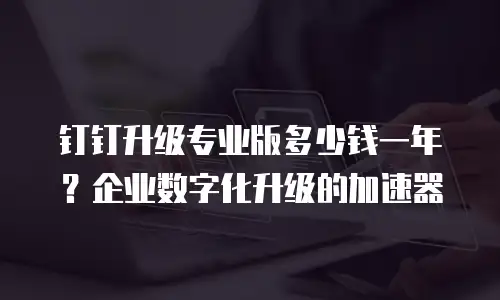 钉钉升级专业版多少钱一年？企业数字化升级的加速器