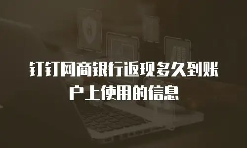 钉钉网商银行返现多久到账户上使用的信息