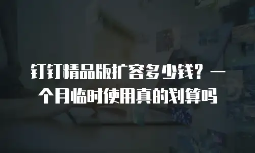 钉钉精品版扩容多少钱？一个月临时使用真的划算吗