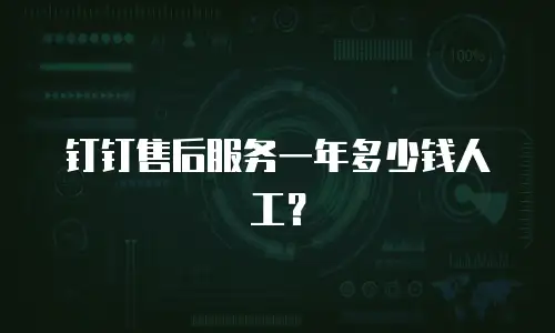 钉钉售后服务一年多少钱人工？