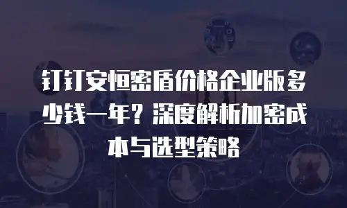 钉钉安恒密盾价格企业版多少钱一年？深度解析加密成本与选型策略