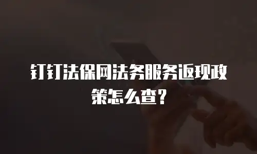 钉钉法保网法务服务返现政策怎么查？
