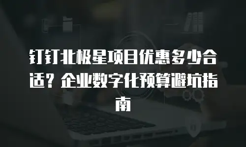 钉钉北极星项目优惠多少合适？企业数字化预算避坑指南