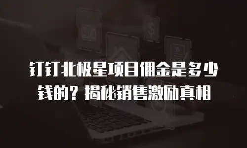 钉钉北极星项目佣金是多少钱的？揭秘销售激励真相