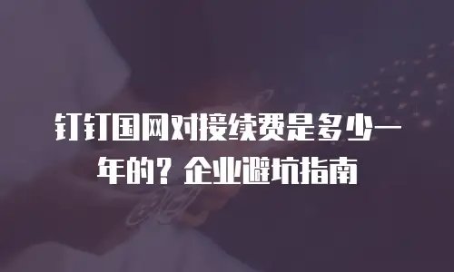 钉钉国网对接续费是多少一年的？企业避坑指南