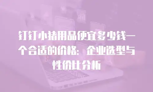 钉钉小猪用品便宜多少钱一个合适的价格：企业选型与性价比分析