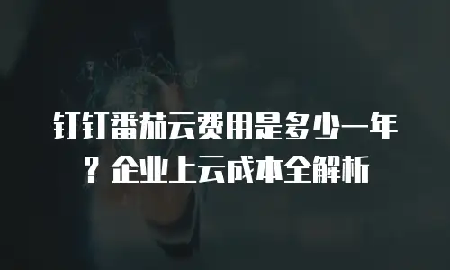 钉钉番茄云费用是多少一年？企业上云成本全解析