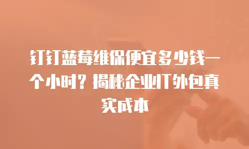 钉钉蓝莓维保便宜多少钱一个小时？揭秘企业IT外包真实成本