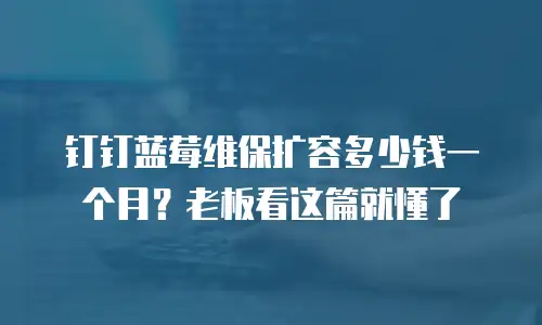 钉钉蓝莓维保扩容多少钱一个月？老板看这篇就懂了