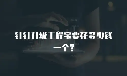 钉钉升级工程宝要花多少钱一个？