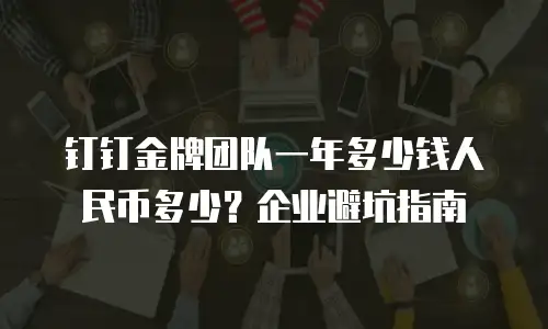 钉钉金牌团队一年多少钱人民币多少？企业避坑指南