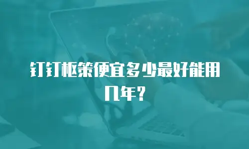 钉钉枢策便宜多少最好能用几年？