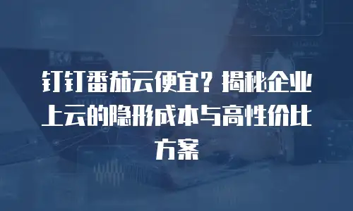 钉钉番茄云便宜？揭秘企业上云的隐形成本与高性价比方案