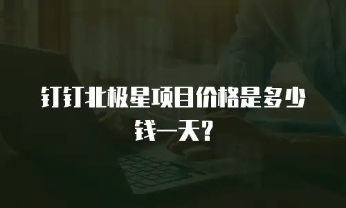 钉钉北极星项目价格是多少钱一天？
