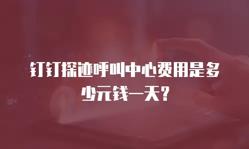 钉钉探迹呼叫中心费用是多少元钱一天？