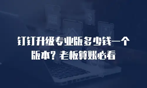 钉钉升级专业版多少钱一个版本？老板算账必看