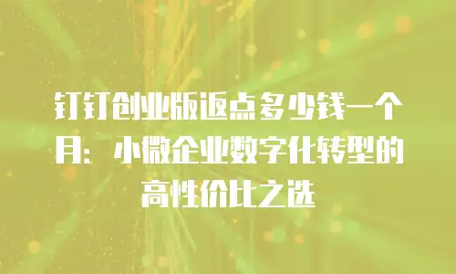 钉钉创业版返点多少钱一个月：小微企业数字化转型的高性价比之选