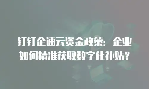 钉钉企速云资金政策：企业如何精准获取数字化补贴？
